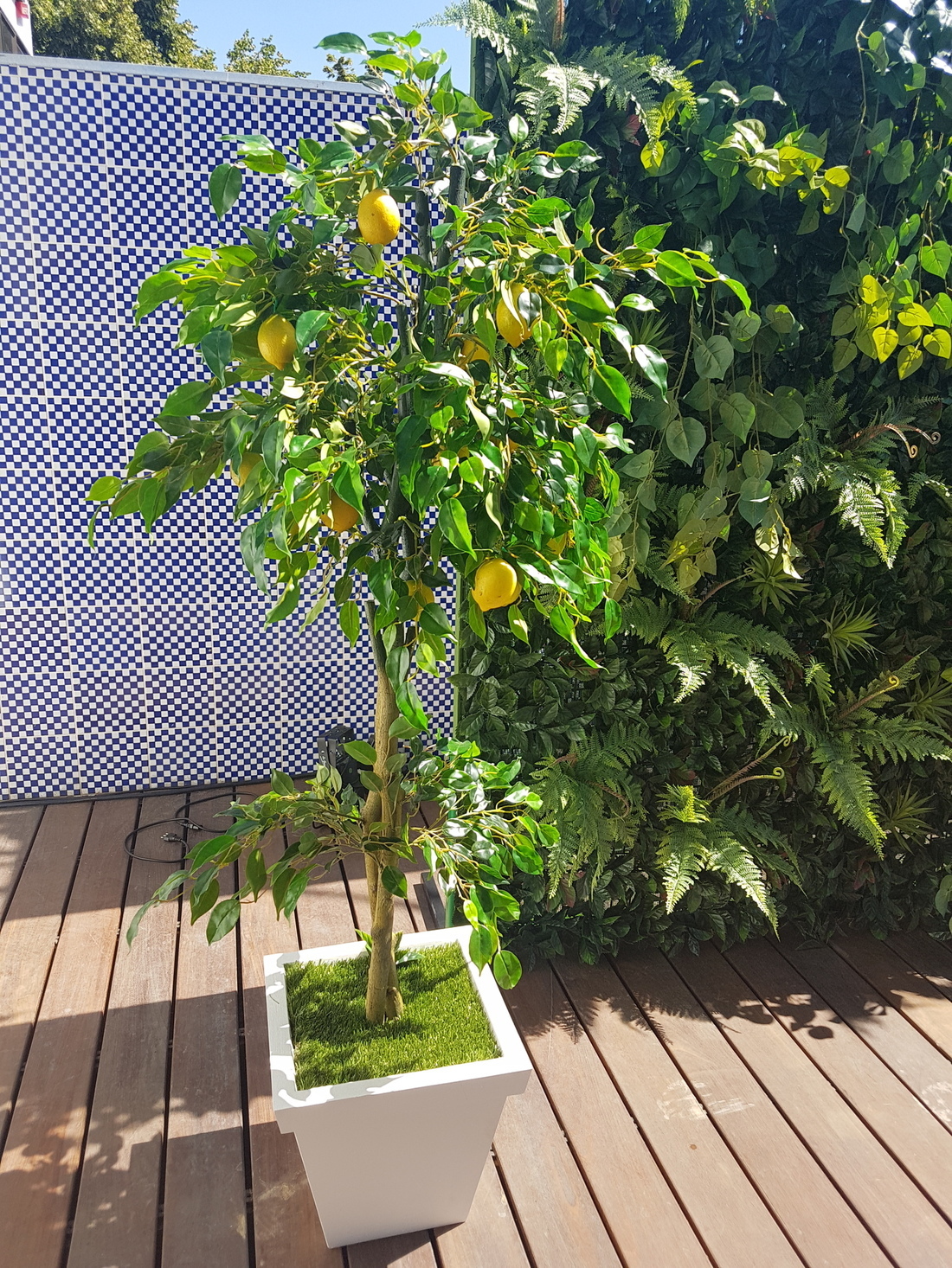 Evento Martini Ficticio Arbol de limones-1