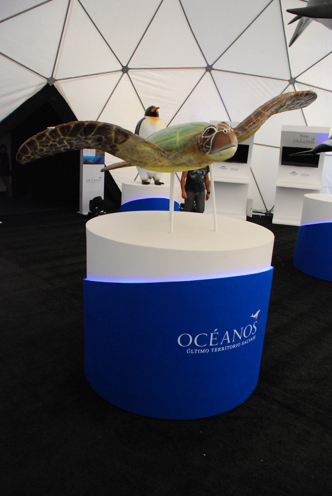 Ficticios Ocean World Exibition 12 fase final tortuga