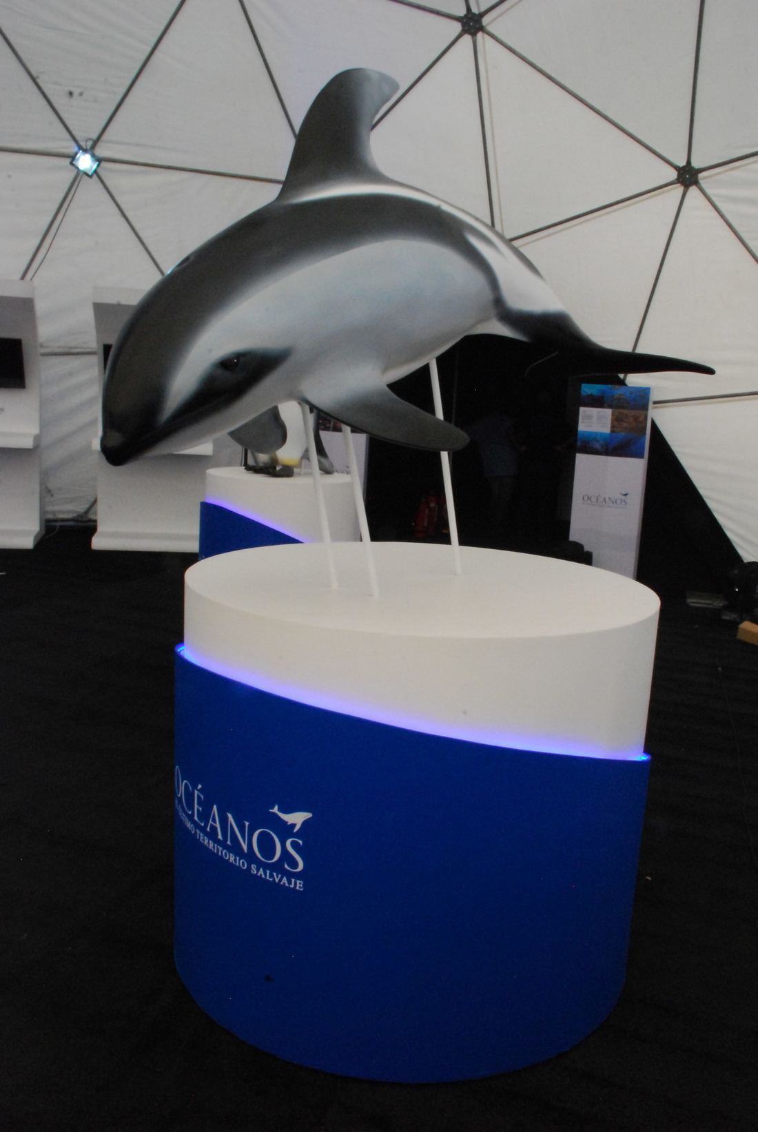 Ficticios Ocean World Exibition 4 fase final delfin