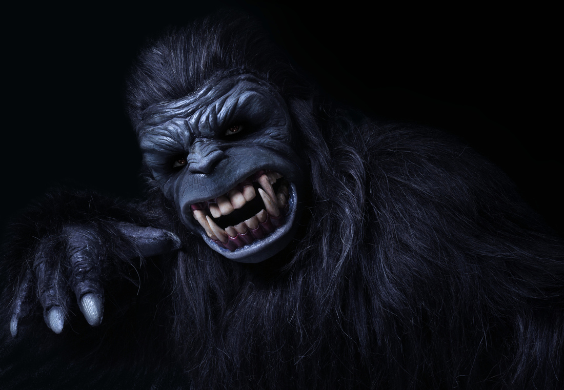GORILLA